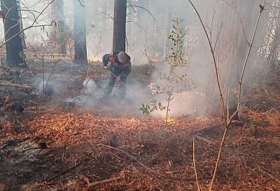 Еще два лесных пожара в Краснодарском крае ликвидированы