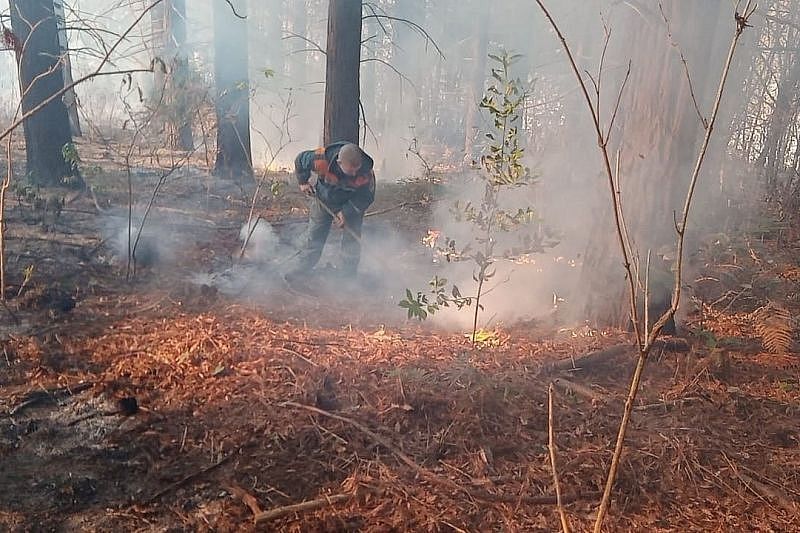 Еще два лесных пожара в Краснодарском крае ликвидированы