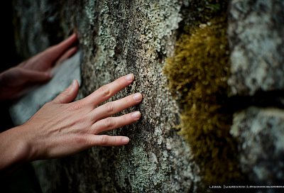 Трещины в асфальте и мох на стенах — это не мусор, а ваша личная аптека и защита для здоровья