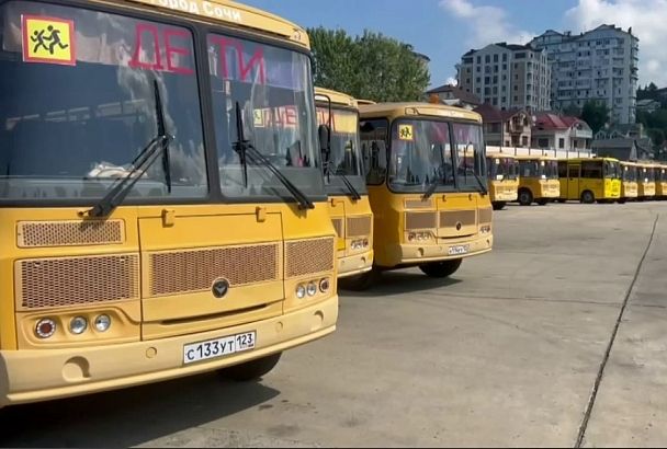 В Сочи сотрудники Госавтоинспекции провели масштабную проверку готовности образовательных организаций к началу учебного года