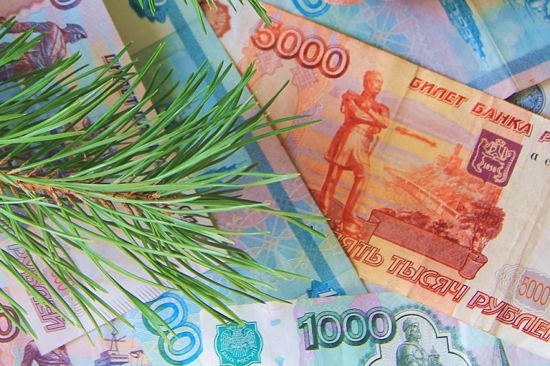 «15 000 получит каждый». Россияне могут рассчитывать на дополнительную денежную выплату к Новому году