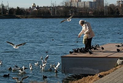 Волна тепла до +13 градусов накроет Краснодарский край вслед за дождями