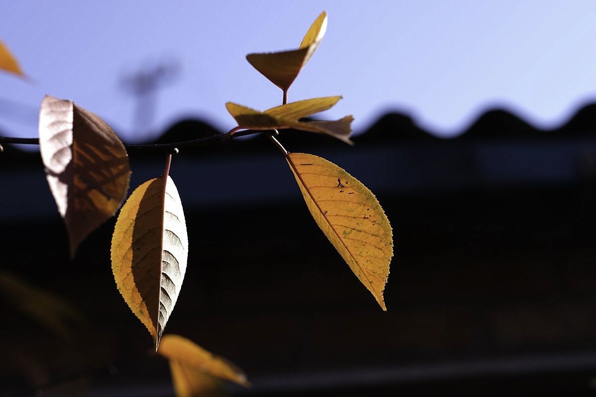 Четыре города Краснодарского края вошли в топ-10 самых теплых мест России 25 ноября