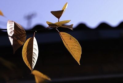 Четыре города Краснодарского края вошли в топ-10 самых теплых мест России 25 ноября