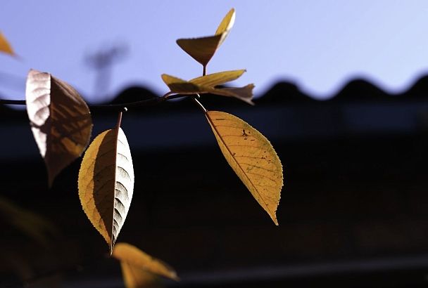 Четыре города Краснодарского края вошли в топ-10 самых теплых мест России 25 ноября