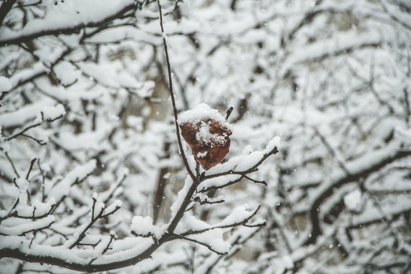 Опасная непогода: мощные дожди и снегопады накроют Краснодарский край в ближайшие дни