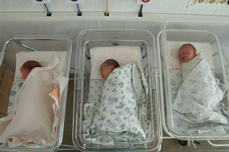 Три двойни родились за сутки в Краснодарском крае