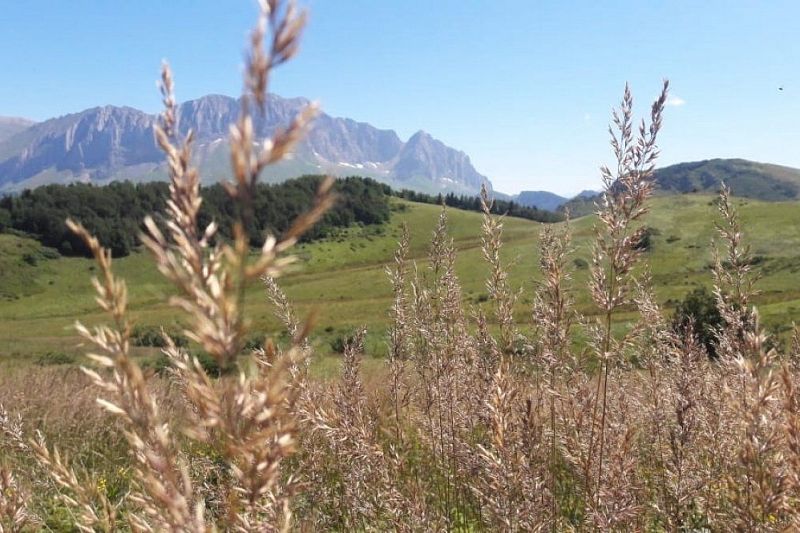В Кавказском заповеднике закрыли туристический маршрут
