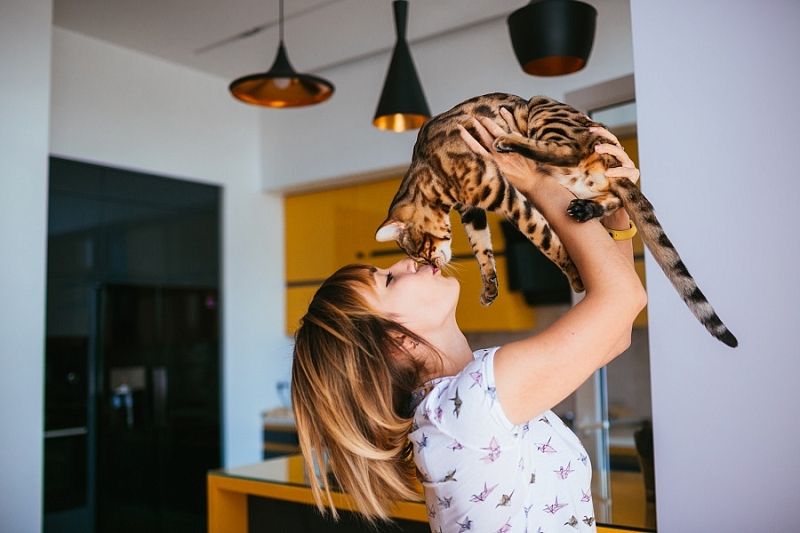 Опасные связи: что можно подхватить, целуя кошку