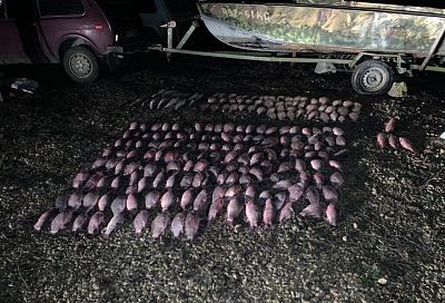 Пограничники задержали браконьеров за рыбалку на 200 тыс. рублей