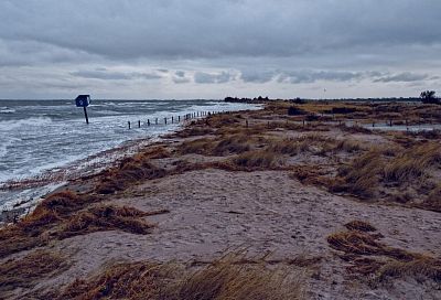 Резкое обмеление Каспийского моря ученые назвали опасным