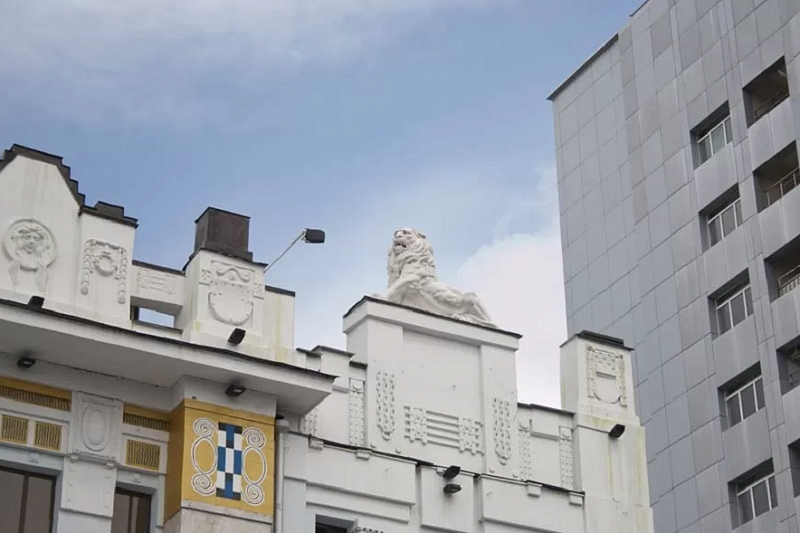 Двухчасовую пешеходную экскурсию «Звери в городе» проведут в Краснодаре