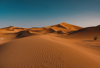 Кирпичи из пустынного песка: учёные нашли замену традиционному цементу