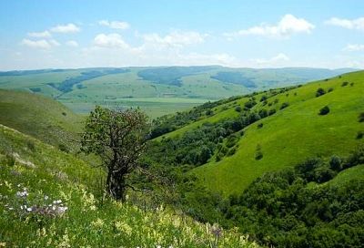 В Краснодарском крае образовали новый природный заказник «Чехрак»