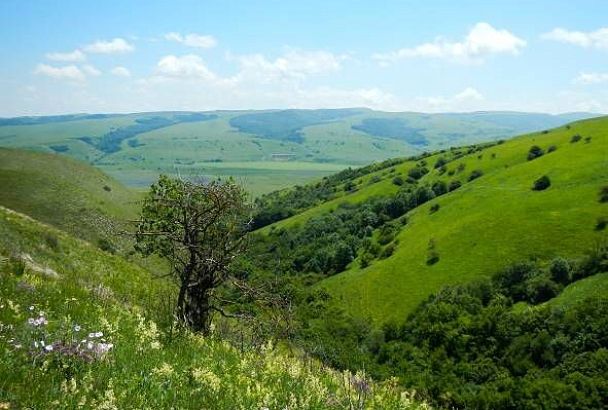 В Краснодарском крае образовали новый природный заказник «Чехрак»