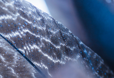 Ученые разработают радиационно-защитную ткань для космонавтов и плитки для космических аппаратов