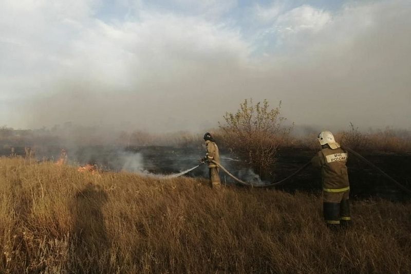 МЧС Краснодарского края помогает тушить крупные лесные пожары в Ростовской области