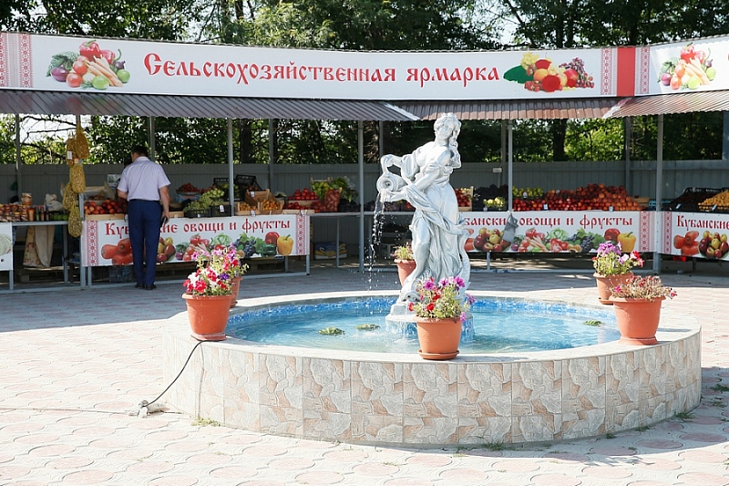 В Краснодарском крае за пять лет на треть увеличилось количество рынков и ярмарок