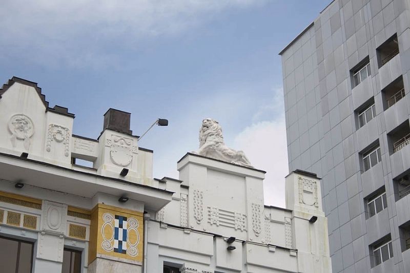 Пешеходную экскурсию «Звери в городе» проведут в Краснодаре