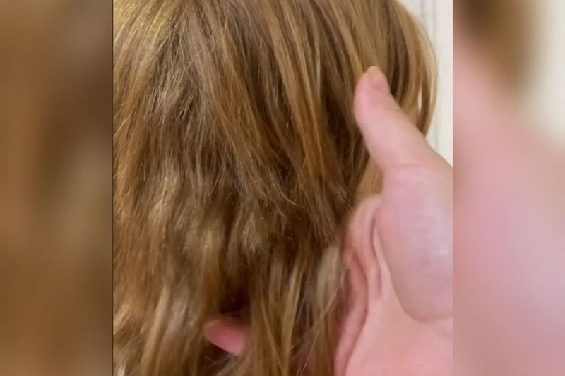 Заперла в туалете, остригла волосы: в Краснодаре педагог наказала 9-летнюю девочку за плохое поведение