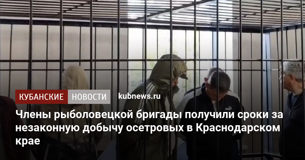 Члены рыболовецкой бригады получили сроки за незаконную добычу осетровых в Краснодарском крае