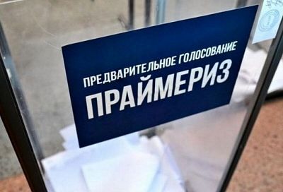 В «Единой России» начались праймериз по выборам в Госдуму