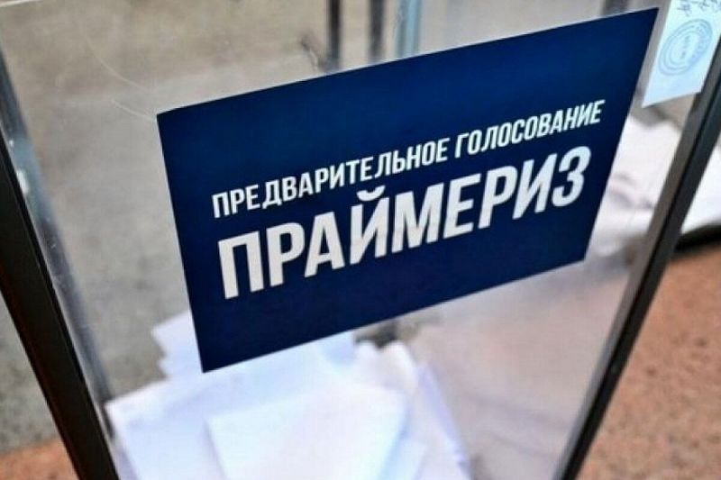 В «Единой России» начались праймериз по выборам в Госдуму