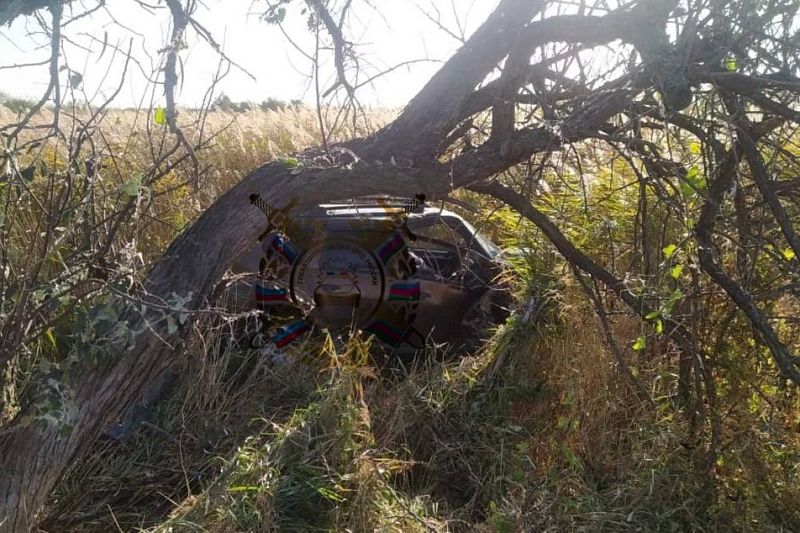 На Кубани водитель на иномарке врезался в дерево и погиб
