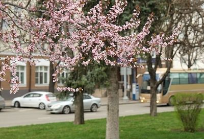 Тепло придет, но на один день.  Какая погода ждет краснодарцев в выходные