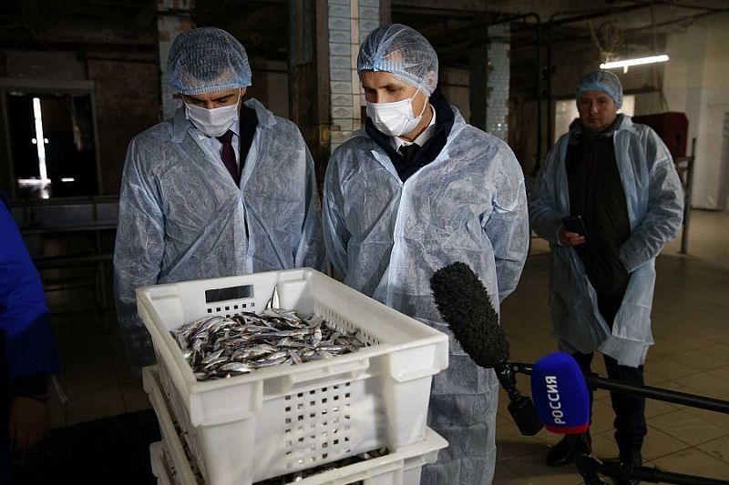 Крупнейшее в России предприятие по производству раков планируют создать в Краснодарском крае