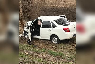На Кубани водитель Lada Granta врезался в дерево и погиб