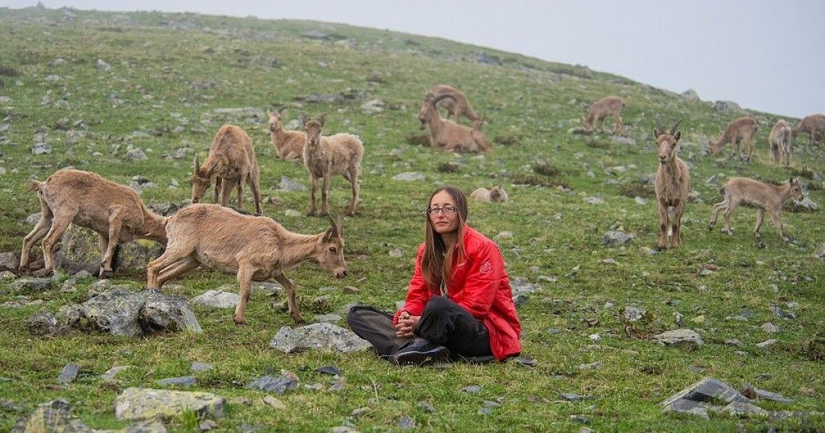 Кавказский заповедник туристы