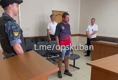 Суд арестовал жителя Сочи на 9 дней за секс под пальмой