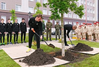 Сафонов и Газинский высадили магнолии в парке военного училища им. С.М. Штеменко