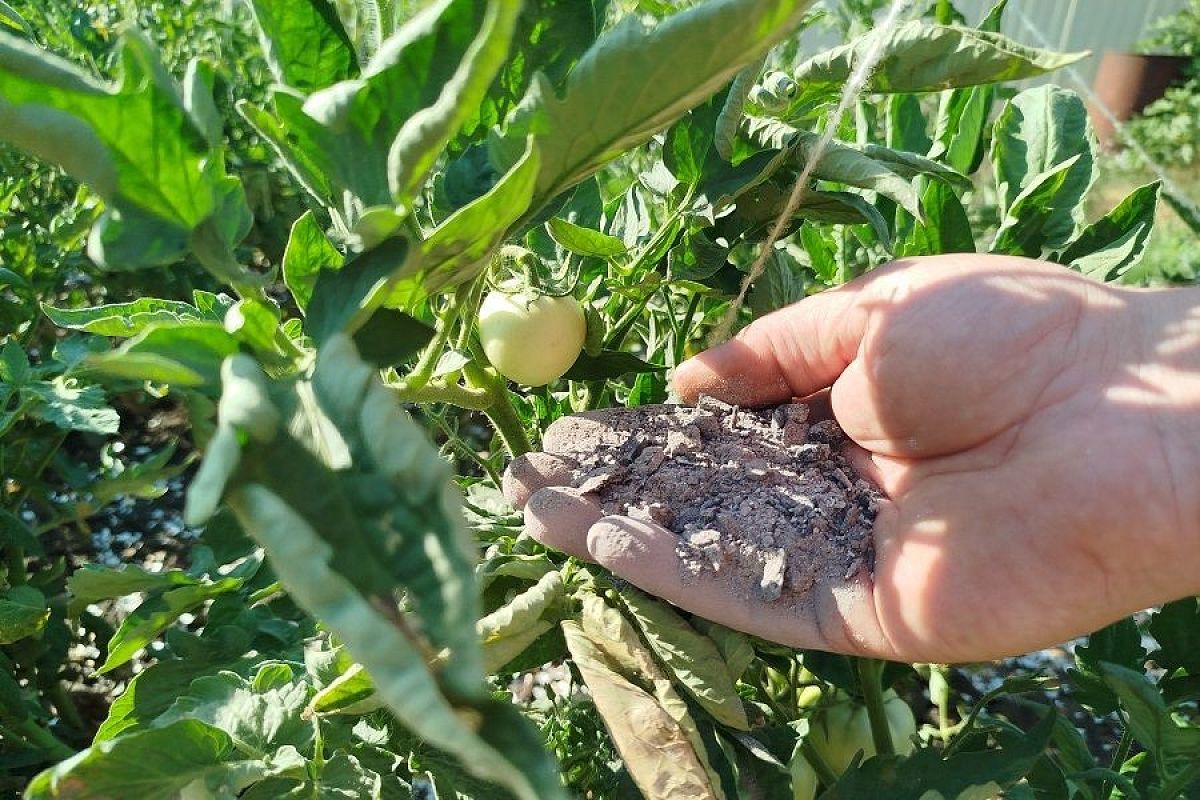 Правила золы: зачем в нее добавлять уксус