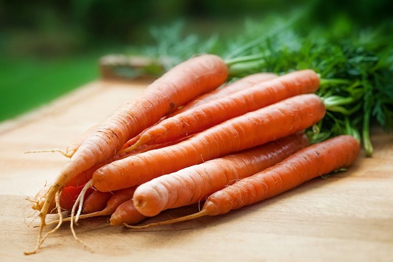 Не только зрение: полезные свойства моркови, о которых вы не знали