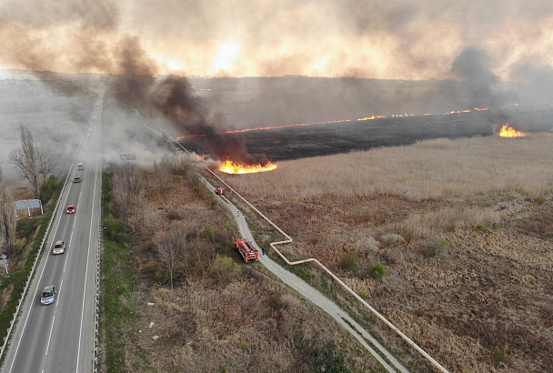 Более 100 человек тушат крупный природный пожар в Анапе