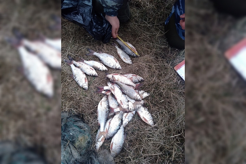 Житель Краснодарского края стал фигурантом уголовного дела о незаконной рыбалке