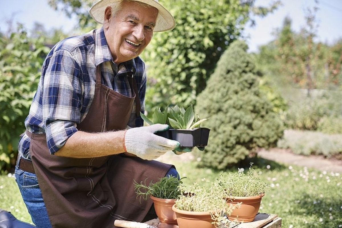 Лунный календарь с 28 июня по 4 июля: что можно и что запрещается делать в саду и огороде в фазу растущей Луны