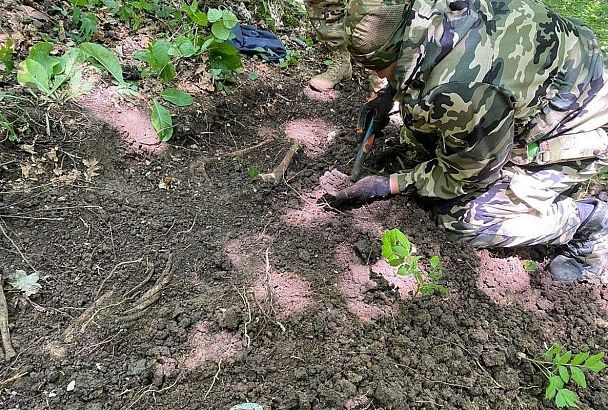 Поисковики Подмосковья установили имя без вести пропавшего героя ВОВ из Краснодарского края