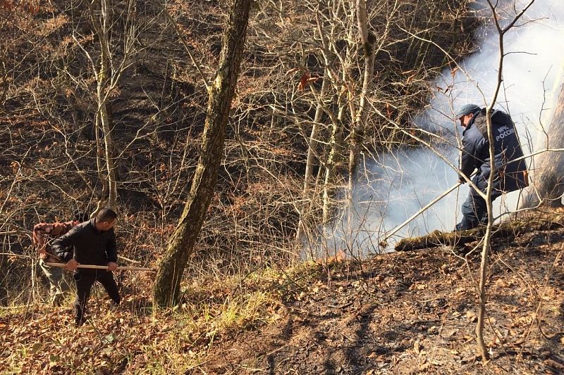 Два лесных пожара в Сочи потушены