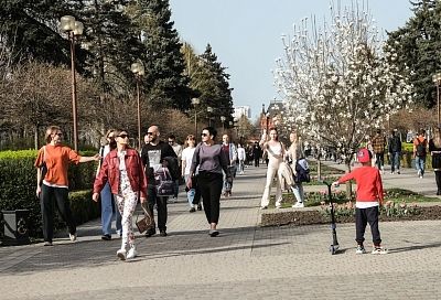 Температура воздуха в Краснодаре в выходные не поднимется выше +14 градусов