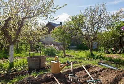 Сварите гороховый суп или кашу: что можно и нельзя делать 19 мая - в день Иова Горошника
