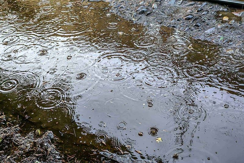 В теплом секторе циклона: дожди в Краснодарском крае прольются после полудня
