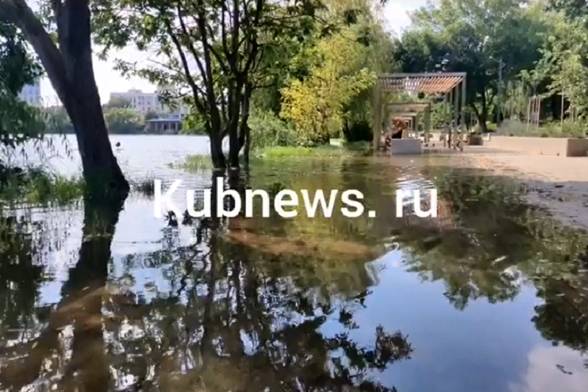 В Краснодаре перекроют подтопленные тротуары в нижней части Дмитриевского сквера