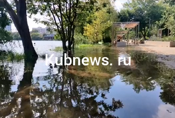 В Краснодаре перекроют подтопленные тротуары в нижней части Дмитриевского сквера