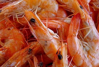  Беру кубанские креветки и рапанов почти даром — за 20 минут избавился от запаха, и вкус как в ресторане