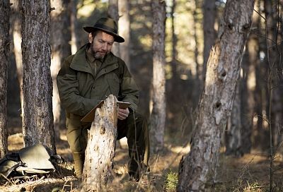 Минпромторг ужесточает правила для «приоритетных» лесных инвестпроектов