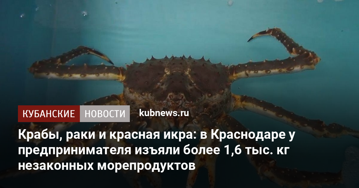 Что едят крабы в майнкрафт