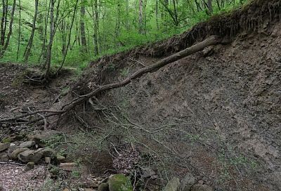 Землянку отшельницы из Краснодарского края обнаружили  в лесах Башкирии